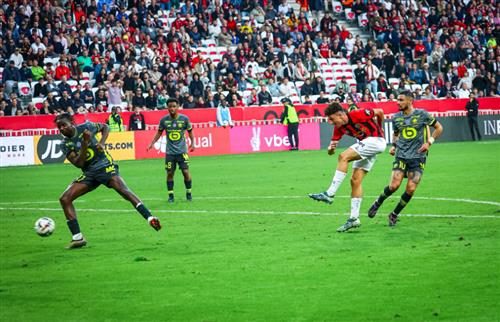 What's a Bingo Game?